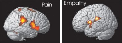 pain_empathy.jpg