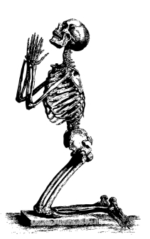 mlf-skeleton-pd-05-kj0022.jpg